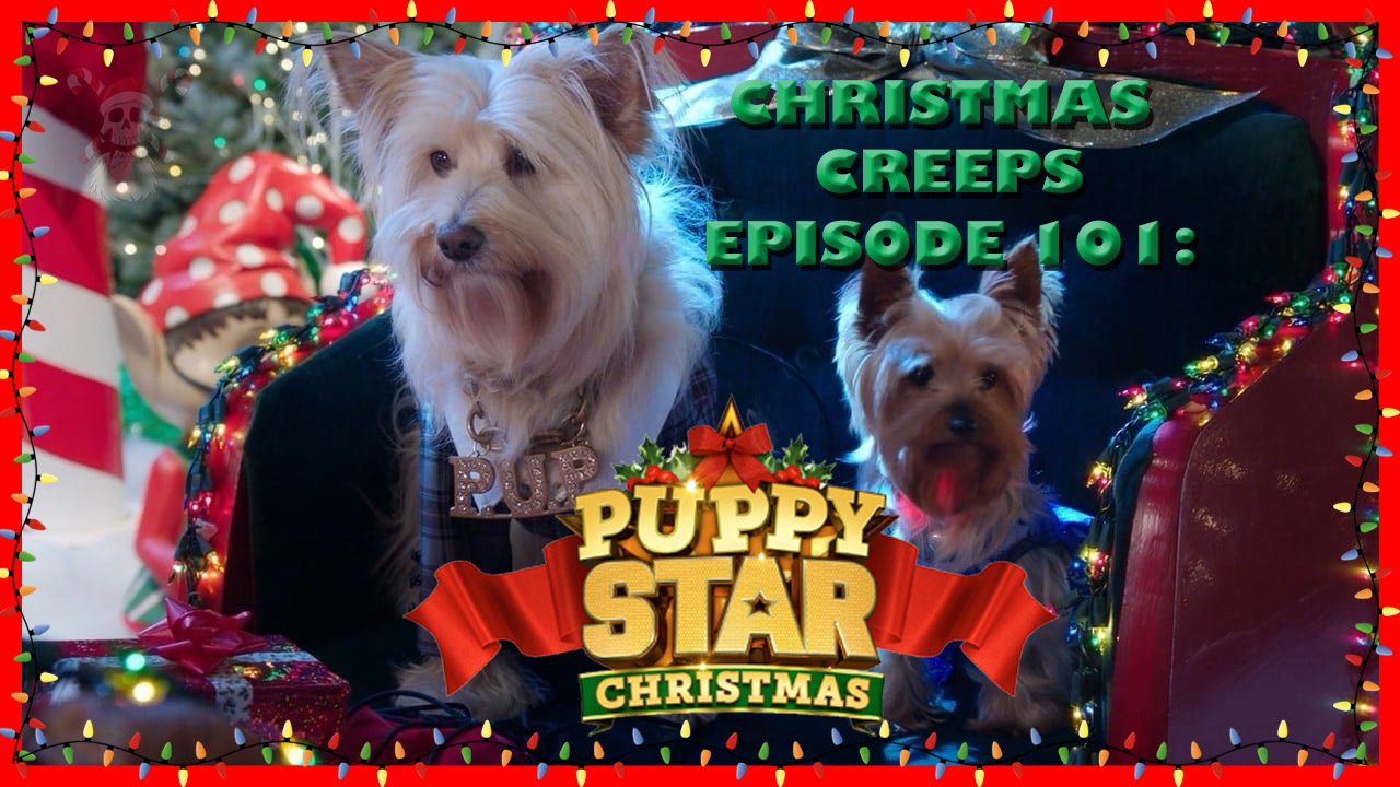 pupstarbanner